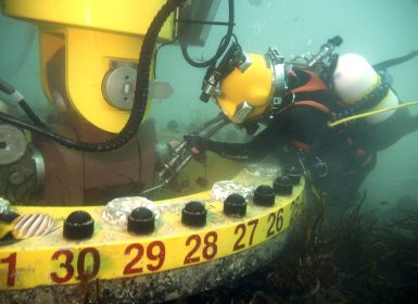 Commercial Diving Services Western Australia | TAMS Group