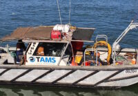 AMS 14